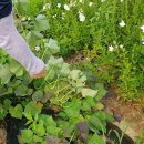 순겸농장 이미지