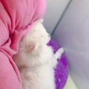 찬샘동물병원 이미지