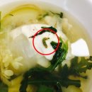 테크윈 구내식당 이미지