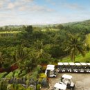 티업골프시티 이미지