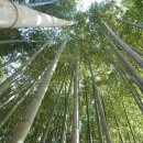 드림게스트하우스 이미지