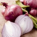 다마내기 이미지