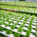 (주)성실팜 이미지