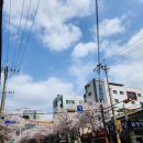 홍콩반점0410봉천현대