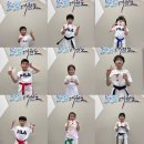경희대 별빛 태권도장 이미지