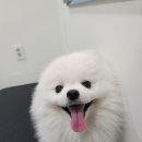 해맑은미용실 - 대덕구 | 해맑은미용실