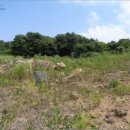 표선리-27 이미지