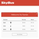 버스터미널 | 싱가포르에서 젯스타 타고 멜버른✈️ (Feat. 스카이버스 &amp; 터미널 후기 포함)