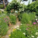 별숲 농장 이미지