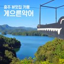 게으른 악어 이미지