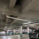 해피주 동물카페 원주점 | 원주 실내동물원 해피주