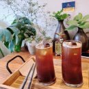 언제나봄 이미지