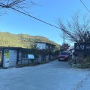 생태농원소향 이미지