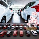 코끼리 카서비스 이미지