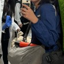 수라마트 이미지