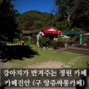 진안 메타세쿼이아길 | [카페] 진안 부귀 카페진안(구 앙쥬살롱카페) | 메타세쿼이아길 근처 정원 감성 카페