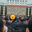 별빛촌아로니아농원 이미지