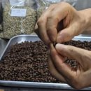 협동조합도계 이미지