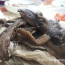 제1능이버섯 생국수 이미지