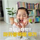 마카롱택배 추천, 츄베이크샵 빅카롱과 버터떡 먹어본 솔직후기