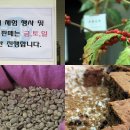 커피앤던