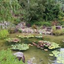 모네의 정원 이미지