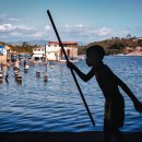 지혜의 사과 이미지