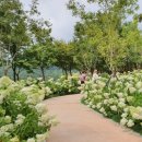 걷고 싶은 누리길 이미지