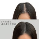 마음에점을찍다 이미지