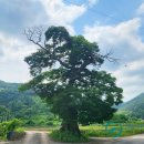 운계2구 이미지