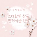 성가꽃집