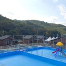 세종 훼미리랜드 수영장 이미지