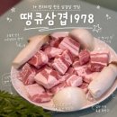 1978 | [대전] 반석동 프리미엄 한돈 삼겹살 맛집 : 땡큐삼겹1978