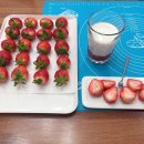 니니케이크 이미지