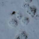 여우골농장 이미지