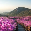 비슬산자연휴양림 이미지