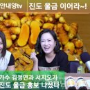 진도울금 이미지
