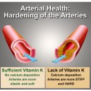 에코바이타민