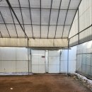 성화농장 | 19개월 아기랑 갈만한곳 다인이네 딸기체험농장 내돈내산 후기