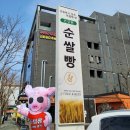 기장 정관 베이커리 맛집 티라이스 순쌀빵 현지인 추천 내돈내산 후기