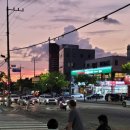 노을약국 이미지