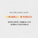 세다컴퍼니