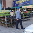 권선농약사 이미지