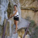 엘까미노 이미지