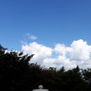 축령산휴림 이미지