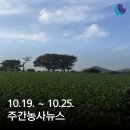 주간농사뉴스 2024.10.19.~10.25.