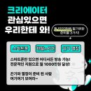 수에이전시 이미지
