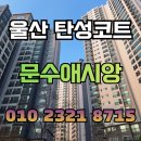 문수목재(주) | 울산 문수애시앙 탄성코트 시공 사례(노후 베란다 하자보수부터 세라믹코트까지)