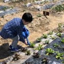 주완농장 이미지