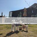 멍클라쓰 이미지